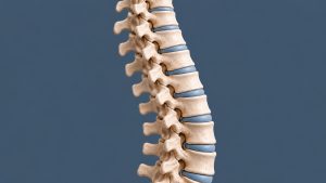Close-up anatomical illustration of spinal vertebrae and discs